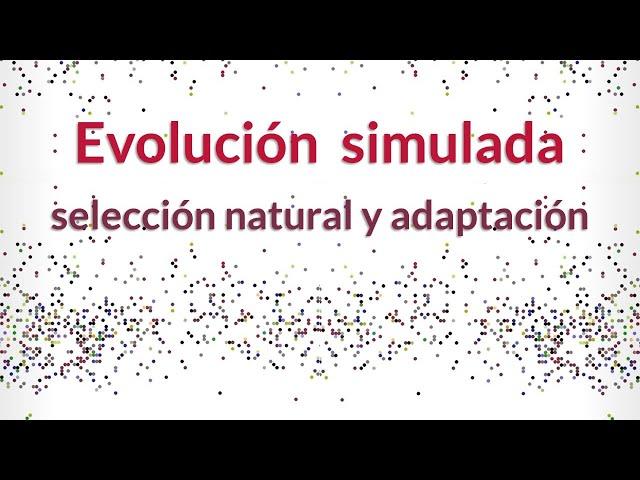 Simulan la evolución por ordenador: Selección natural y adaptación.