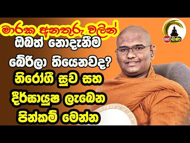 Mathra mahinda Thero - 2024 09 01 Neth Fm Bana