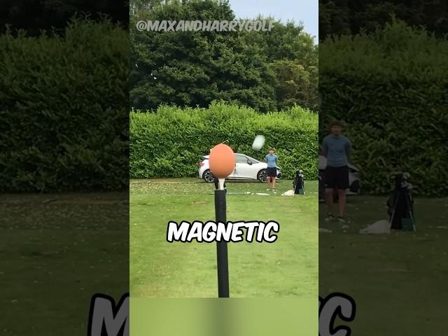 They Fought A Magnetic Field To Crack An Egg (@MaxandHarryGolf)