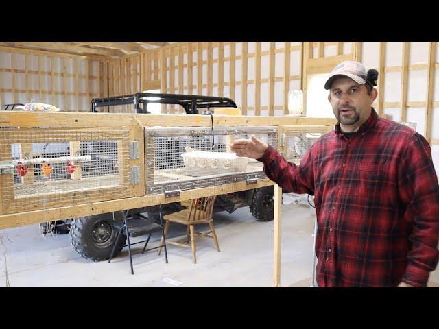 First Project in the New Workshop. 50 Quail Grow Out Cage.