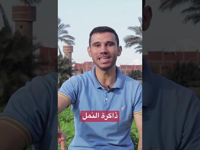 هو النمل عنده ذاكرة 