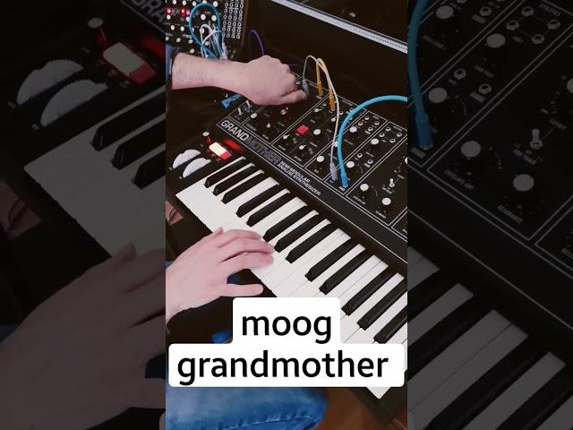 Moog Grandmother - berlin school sequence