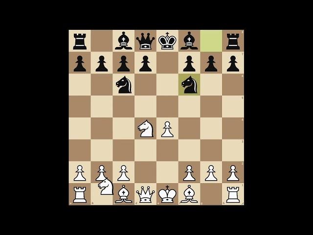 Top 7 Chess Openings for Beginners