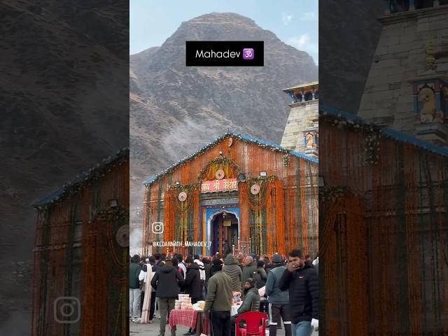 #harharmahadev #jaymhakal #love #Umesh Nayak official#kedarnath