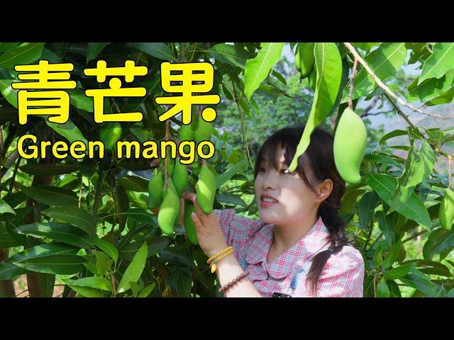 Too hot? Join A Xia to pick green mangoes and make a tangy snack to beat the summer heat!