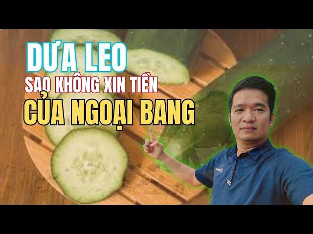 Phản biện Mr Dưa Leo: Mỹ sướng hay Việt Nam sướng? Mr đang sống ở đâu?