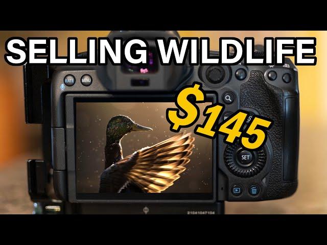 MONETIZE YOUR WILDLIFE AND NATURE PHOTOGRAPHY: and, how to take photos that will sell!