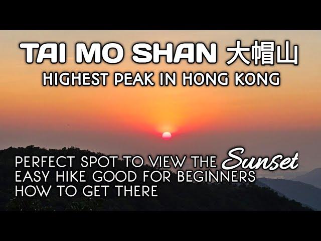 TAI MO SHAN 大帽山 HIKE | HIGHEST PEAK IN HONG KONG | PERFECT SPOT FOR SUNSET | HOW TO GET THERE, VIEWS