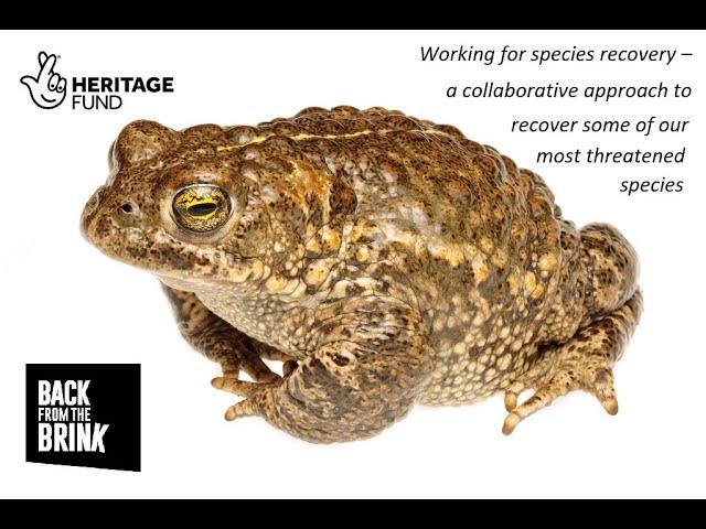 BftB working for species recovery - overview