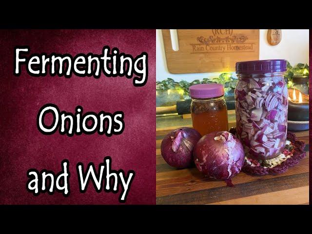 How and Why I Ferment Onions