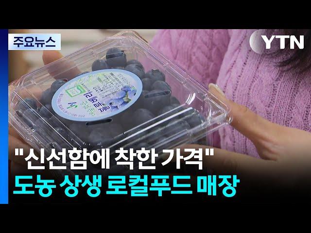 "신선함에 착한 가격까지"...도농 상생 로컬푸드 매장 / YTN