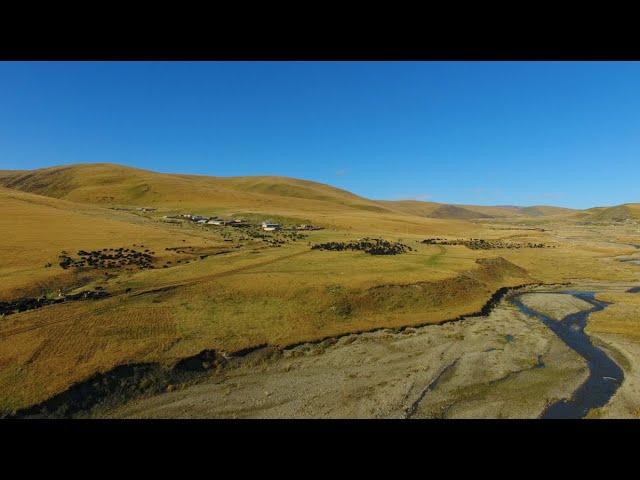 From the Tibetan grasslands...new film coming soon!