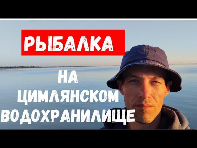 Ловля здоровенных карасей на Цимлянском водохранилище!