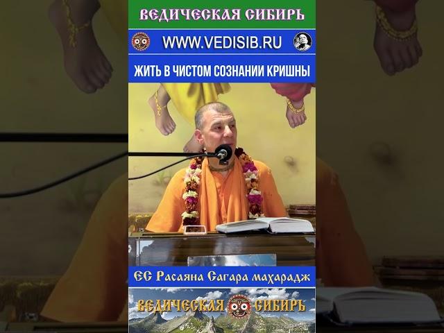 Жить в чистом Сознании Кришны    #всевышний #бессмертие #веды #вишну #говинда #господь #кришна #душа