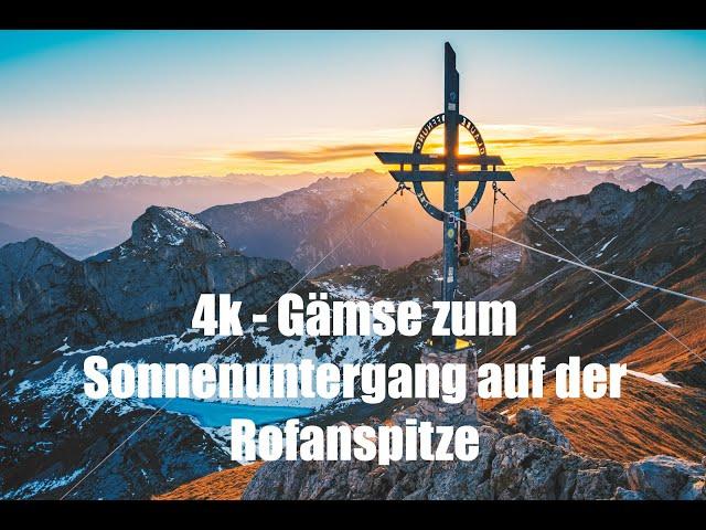 4K - Gämse zum Sonnenuntergang auf der Rofanspitze