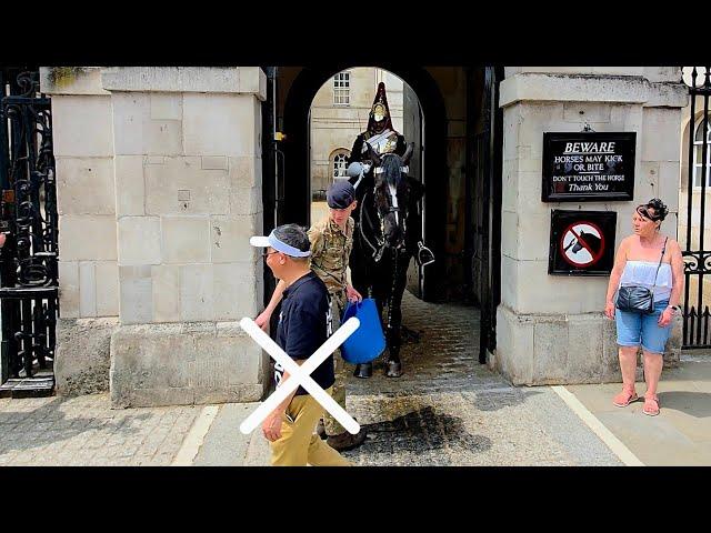 Soldier, King's Guard and Tourist React to the Tourist While the Horse drinks Water at Horse Guards