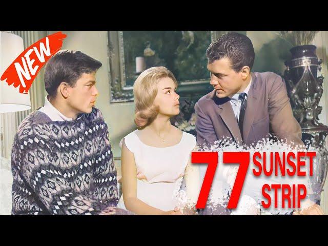 77 Sunset Strip Full Episodes 2024  Private Detective Drama Series  Most Popular American Tv Show