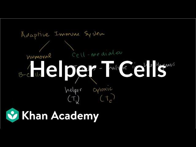 Helper T cells | Immune system physiology | NCLEX-RN | Khan Academy