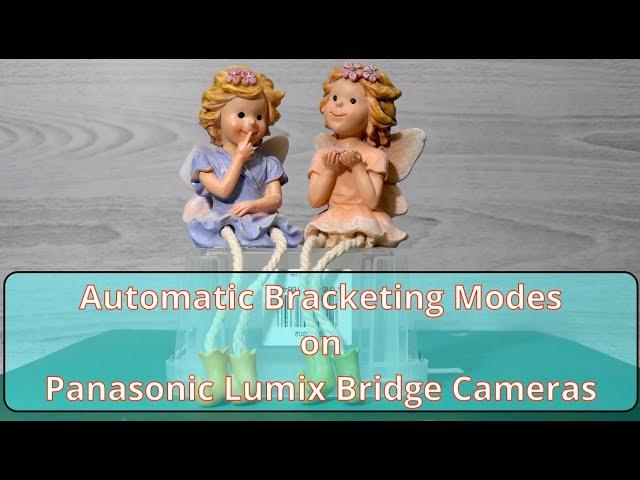 Automatic Bracketing Modes on Panasonic Lumix Bridge Cameras