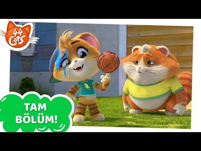 44 Kedi | TAM BÖLÜM | Basket-tüy Oyunu | Sezon 2 Bölüm 18