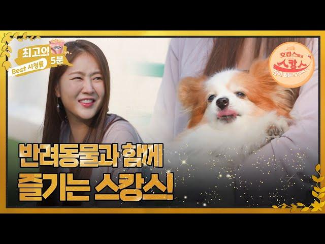 [최고의 5분_호캉스 말고 스캉스] 김준호만 보면 오줌을 싸는 김지민 반려견?! MBN 220704 방송