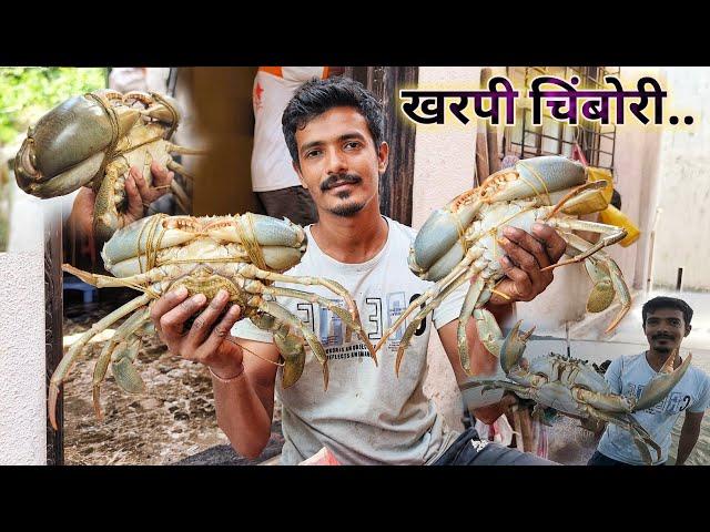 जालात भेटले मोठे मोठे खरपी चिंबोरे  |  गोण भरुन खरपी मुठे | Mud Crab Catching