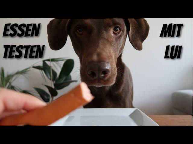 ESSEN TESTEN MIT LUI ... ASMR :)