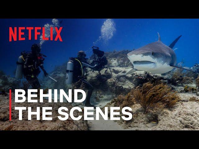 Our Planet II | Behind the Scenes | Netflix