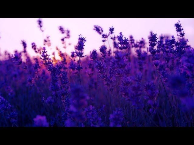 Chillstep Selection #26