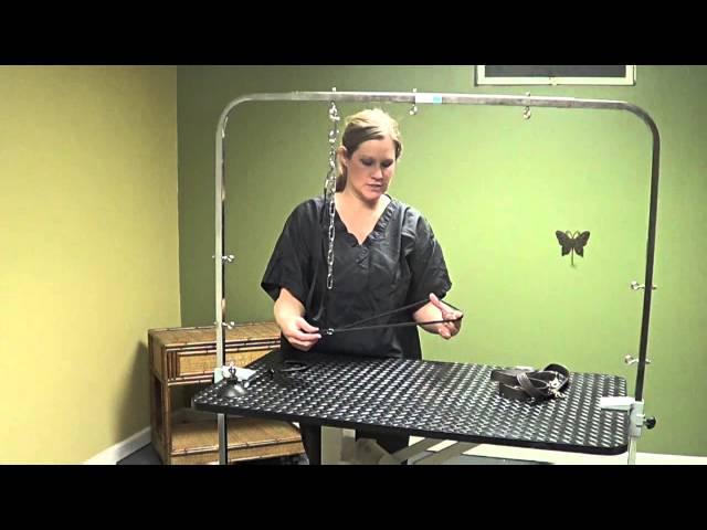 Dog Grooming Tables and Straps for the Do-It-Yourself Dog Groomer