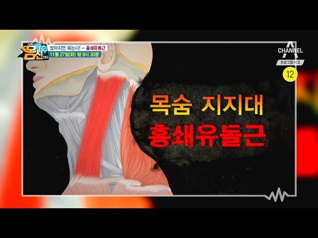 [몸신예고] 짧아지면 죽는다! 목숨 지지대 흉쇄유돌근 l 채널A 나는 몸신이다 203회