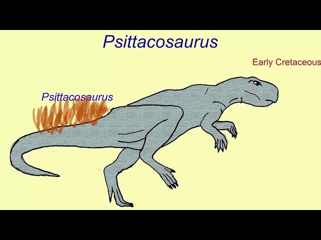 when in the archosaur family tree did protofeathers evolve?