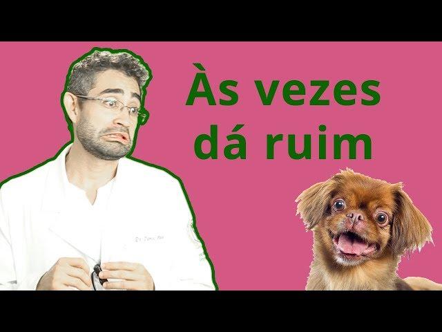 5 DESVANTAGENS de ser Médico Veterinário | Dica Veterinária #12