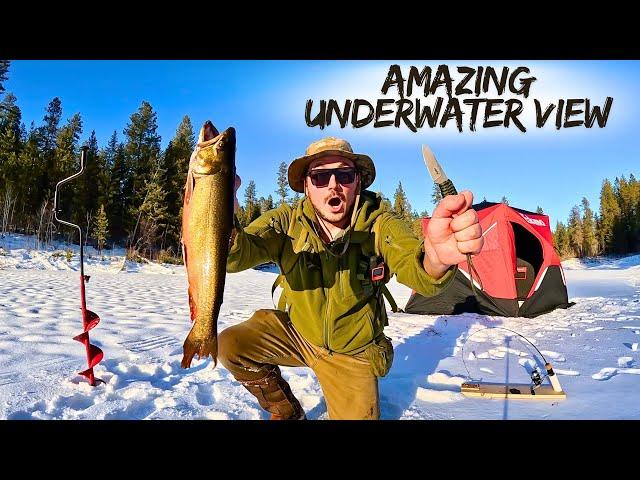 Ice Fishing for GIANT Trout in a TINY Mountain Lake (Catch & Cook)