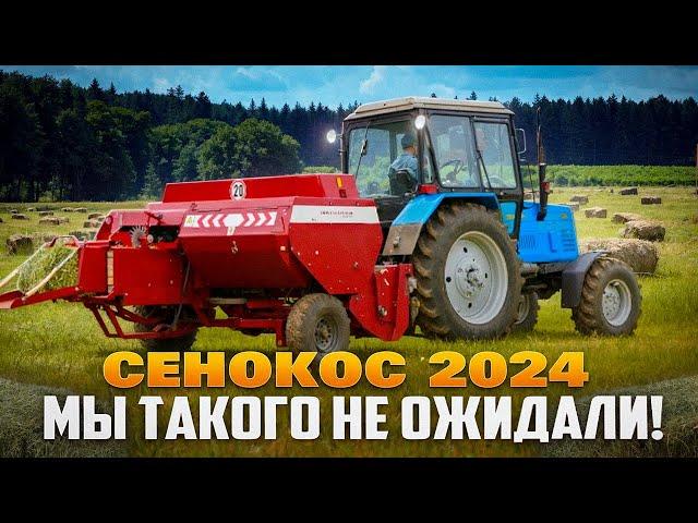  СЕНОКОС 2024 | МАЙСКИЕ МОРОЗЫ ДАЛИ О СЕБЕ ЗНАТЬ?