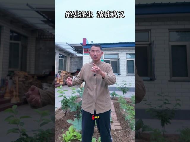 【史楍酼】绝处逢生 站桩真义 #养生 #站樁