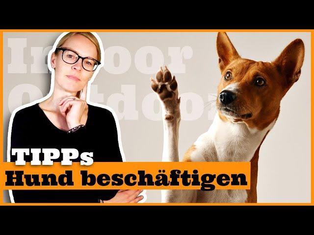 Hund zu Hause geistig beschäftigen I Beschäftigungstipps für den Hund I Indoor und Outdoor