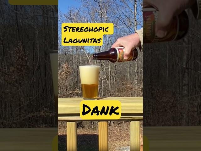 Snifter 13: Lagunitas Stereohopic IPA Dank #beer #beerreview #craftbeer #shorts #growintheglass