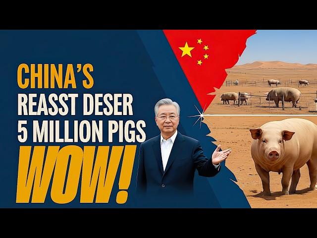 CHINA Transforms DESERT into THRIVING FARMLAND with 5 MILLION PIGS! 