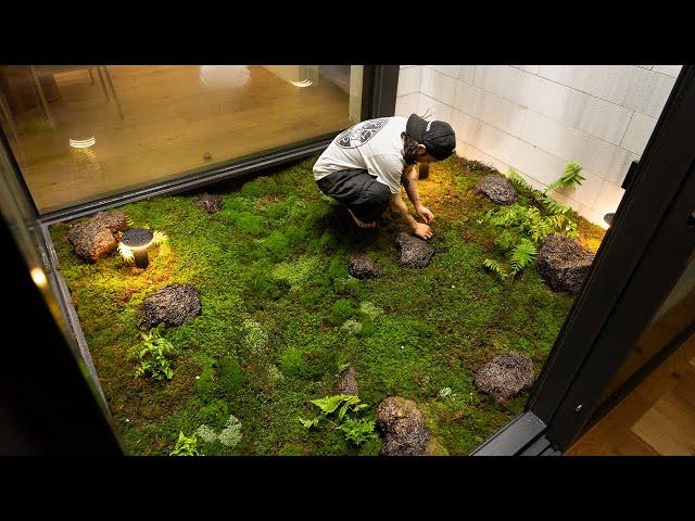 Moss Garden in the Middle of a House! Process of making Vivarium in Korea