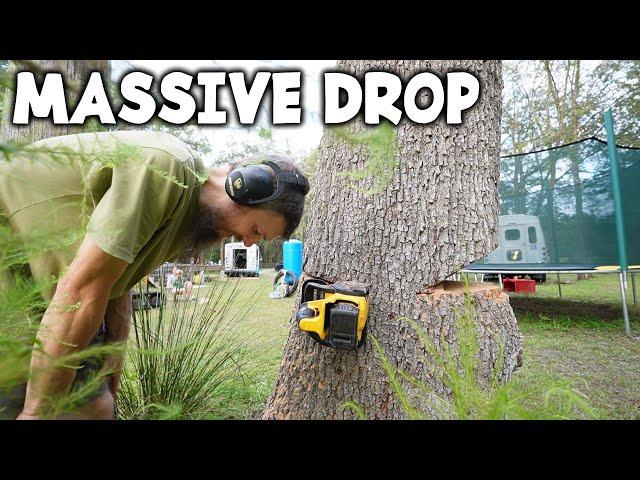 Huge Dead Tree Drop with a Mini Chainsaw