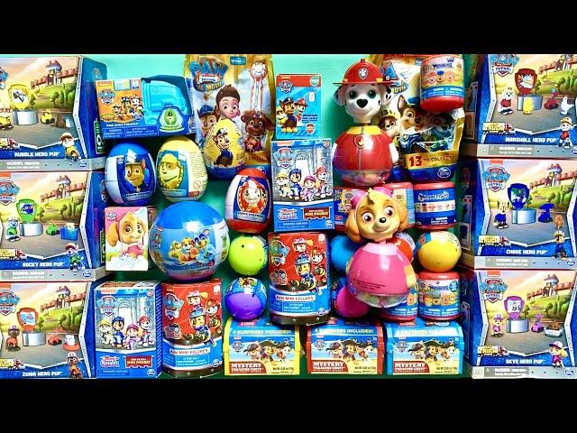 HUGE PAW PATROL SURPRISE TOYS  Unboxing Mystery Boxes Blind Bags Satisfying ASMR Collection