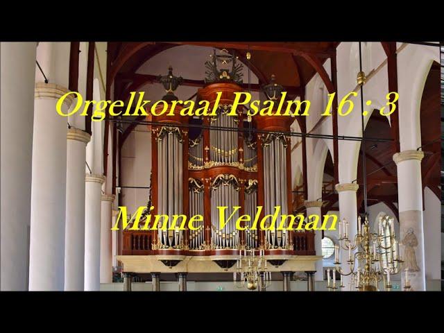 Minne Veldman | Psalm 16 | Hanno Bosch orgel Martinikerk Franeker