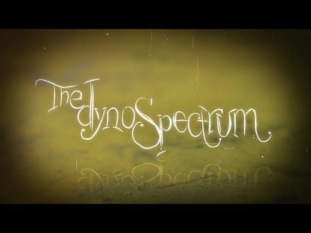 The Dynospectrum - Anything Is Everything (Official Video)