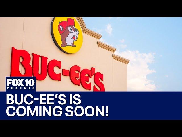 Construction begins on Arizona's first Buc-ee's