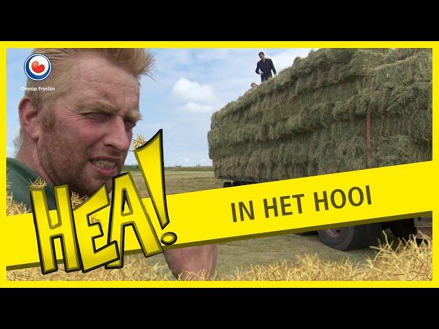 HEA! Moeder van broers Douwes komt kijken in de schuur