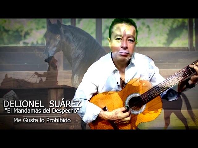 Delionel Suárez - Me Gusta lo Prohibido - Video Fotos - Musical - Popular - Despecho - @TVdigital