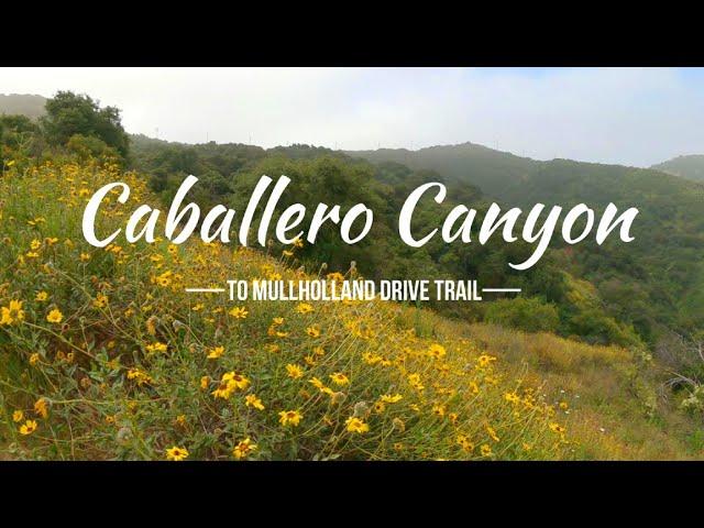 Caballero Canyon to Mullholland Drive Trail, Los Angeles, Ca. 91335