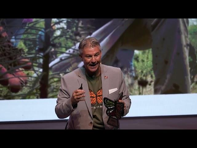 La Mariposa Monarca: Punto de inflexión | David Eaton | TEDxTecdeMty