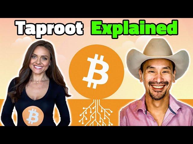 Bitcoin Taproot Upgrade Explained | Natalie Brunell and Jimmy Song